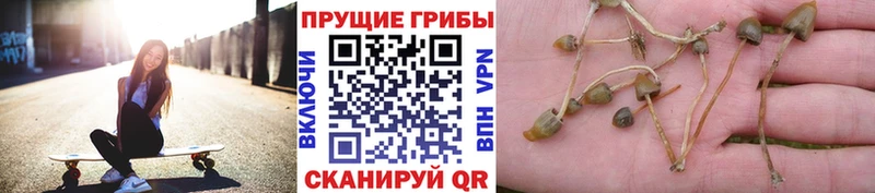 Псилоцибиновые грибы мухоморы даркнет сайт Кушва