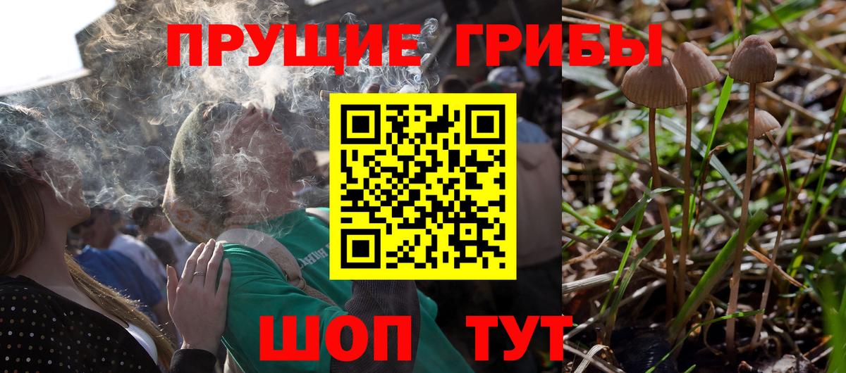 Галлюциногенные грибы прущие грибы  Вход с VPN  Псилоцибиновые грибы Psilocybe  Кушва 