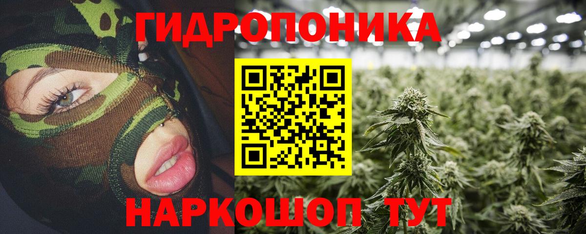 Бошки марихуана Ganja Кушва